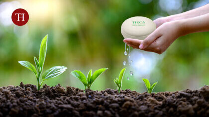 Packaging eco friendly | Theca astucci